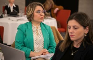 Council of Europe’s recommendations to combat and prevent violence against women in Georgia discussed in Tbilisi