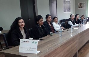 Members of Tskaltubo women and youth groups discussed the issues of solidarity