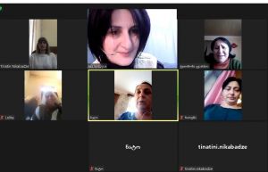 Online meetings of Kutaisi initiative groups
