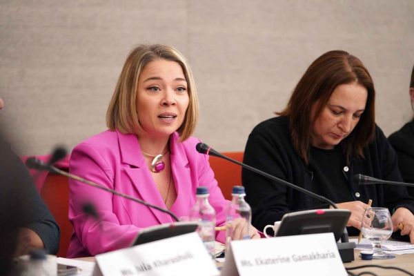 ღია კარის დღე 1325-ე რეზოლუციის 25 წლისთავზე