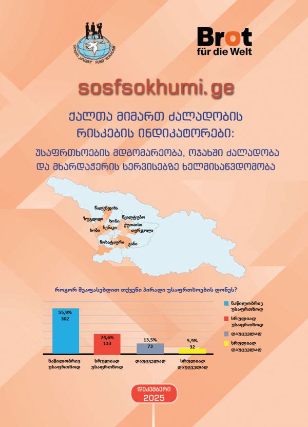 Risk Indicators of Violence Against Women: Safety, Domestic Violence and Access to Support Services