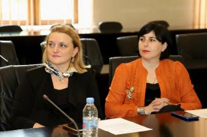 Встреча с членами Совета гендерного равенства Кутаиси