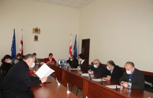 Activity of the working group in Bagdati